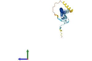 Protein Structure (PS) image for Zinc Finger, C4H2 Domain Containing (ZC4H2) (AA 1-224) protein (His tag) (ABIN7545288)
