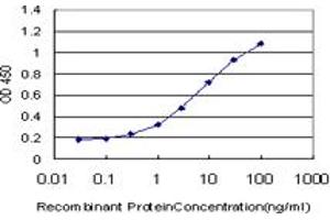 Detection limit for recombinant GST tagged CHN1 is approximately 0. (CHN1 antibody  (AA 91-200))