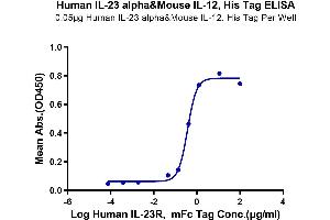 Immobilized Human IL-23 alpha&Mouse IL-12 beta, His Tag at 0.