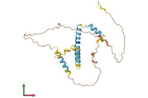 AlphaFold protein structure predicition of Mouse Recombinant Eid2 Protein, UniprotID Q6X7S9