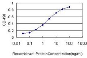 Detection limit for recombinant GST tagged QDPR is approximately 0. (QDPR antibody  (AA 1-244))
