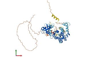 AlphaFold protein structure predicition of Mouse Recombinant Mknk2 Protein, UniprotID Q8CDB0