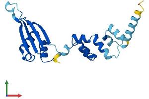 AlphaFold protein structure predicition of Human Recombinant FBXO36 Protein, UniprotID Q8NEA4 (FBXO36 Protein (AA 1-188) (His tag))