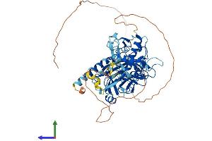 Protein Structure (PS) image for Set1/Ash2 Histone Methyltransferase Complex Subunit ASH2 (ASH2L) (AA 1-623) protein (His tag) (ABIN7560068)