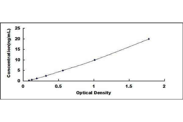 Permeability Glycoprotein ELISA Kit