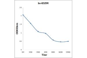 Antigen: 0. (Sulfiredoxin 1 antibody  (AA 45-137))