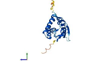Protein Structure (PS) image for BET3 Like (BET3L) (AA 1-181) protein (His tag) (ABIN7544668)