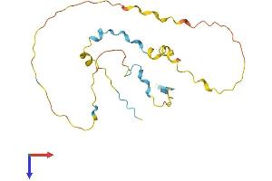 AlphaFold protein structure predicition of Human Recombinant C9orf40 Protein, UniprotID Q8IXQ3