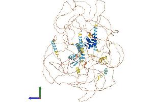AlphaFold protein structure predicition of Mouse Recombinant Asxl2 Protein, UniprotID Q8BZ32