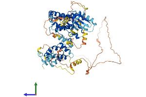 AlphaFold protein structure predicition of Mouse Recombinant Ripk1 Protein, UniprotID Q60855 (RIPK1 Protein (AA 1-656) (His tag))