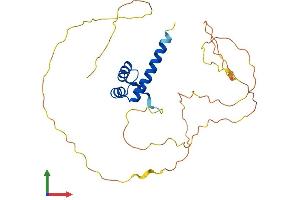 AlphaFold protein structure predicition of Human Recombinant HOXB13 Protein, UniprotID Q92826