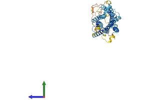 Protein Structure (PS) image for Chemokine (C-C Motif) Receptor-Like 2 (CCRL2) (AA 1-360) protein (His tag) (ABIN7562323)
