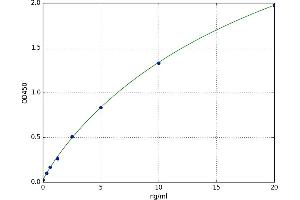 serpin Peptidase Inhibitor, Clade B (Ovalbumin), Member 1 (SERPINB1) ELISA Kit