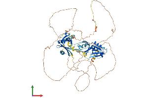 Protein Structure (PS) image for Amyloid beta (A4) Precursor Protein-Binding, Family A, Member 2 (APBA2) (AA 1-750) protein (His tag) (ABIN7556841)