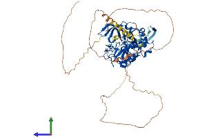 AlphaFold protein structure predicition of Human Recombinant MTF2 Protein, UniprotID Q9Y483