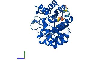 Protein Structure (PS) image for TatD DNase Domain Containing 3 (TATDN3) (AA 1-274) protein (His tag) (ABIN7544230)