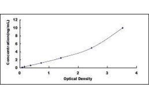 Typical standard curve (S100P ELISA Kit)