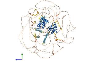 Protein Structure (PS) image for Bromodomain Containing 4 (BRD4) (AA 1-1400) protein (His tag) (ABIN7565068)