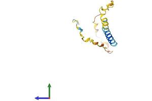 AlphaFold protein structure predicition of Mouse Recombinant Cystm1 Protein, UniprotID Q8K353 (C5orf32 Protein (AA 1-104) (His tag))