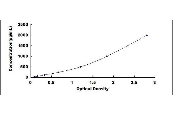 CCL25 ELISA Kit