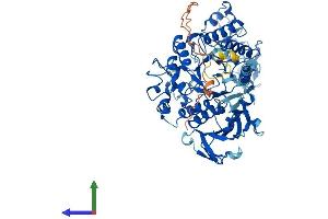 AlphaFold protein structure predicition of Human Recombinant SLC3A1 Protein, UniprotID Q07837