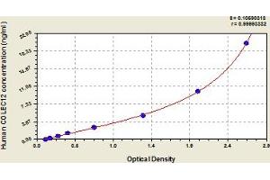 COLEC12 ELISA Kit