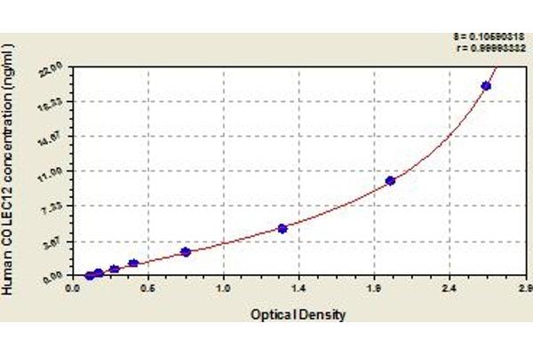 COLEC12 ELISA Kit