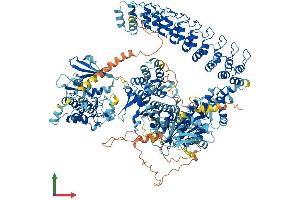 AlphaFold protein structure predicition of Mouse Recombinant Dapk1 Protein, UniprotID Q80YE7
