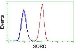 HEK293T cells transfected with either pCMV6-ENTRY SORD (RC200415) (Red) or empty vector control plasmid (Blue) were immunostained with anti-SORD mouse monoclonal (ABIN2453674), and then analyzed by flow cytometry. (SORD antibody)