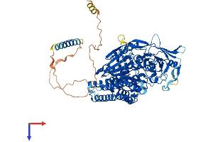 Protein Structure (PS) image for Transferrin Receptor (p90, CD71) (TFRC) (AA 1-763) protein (His tag) (ABIN7563962)