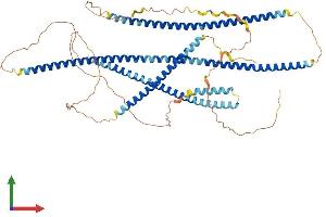 AlphaFold protein structure predicition of Mouse Recombinant Tnip1 Protein, UniprotID Q9WUU8 (TNIP1 Protein (AA 1-647) (His tag))