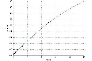 Insulin-Like 3 (Leydig Cell) (INSL3) ELISA Kit