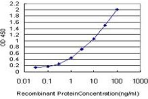 Detection limit for recombinant GST tagged FAM50A is approximately 0. (FAM50A antibody  (AA 1-88))