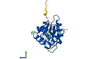 AlphaFold protein structure predicition of Human Recombinant DUSP13A Protein, UniprotID Q6B8I1 (DUSP13 Protein (AA 1-188) (His tag))