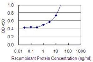 Detection limit for recombinant GST tagged PCDH24 is 0. (CDHR2 antibody  (AA 210-318))