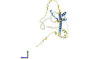 AlphaFold protein structure predicition of Human Recombinant TLX3 Protein, UniprotID O43711 (TLX3 Protein (AA 1-291) (His tag))