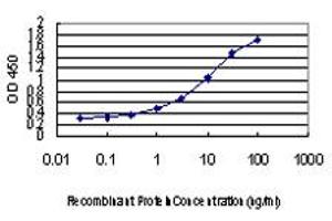 Detection limit for recombinant GST tagged VHL is approximately 0. (VHL antibody  (AA 1-110))
