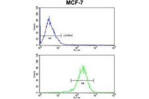 Flow Cytometry (FACS) image for anti-Complement Component 1, Q Subcomponent, A Chain (C1QA) antibody (ABIN3003141)