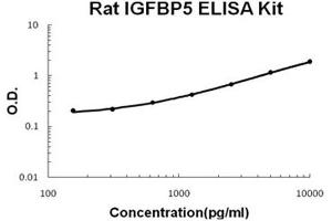 Rat IGFBP5 PicoKine ELISA Kit standard curve