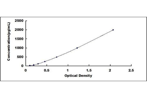 SCGN ELISA Kit