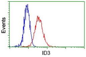 Image no. 2 for anti-Inhibitor of DNA Binding 3, Dominant Negative Helix-Loop-Helix Protein (ID3) antibody (ABIN1498778) (ID3 antibody)