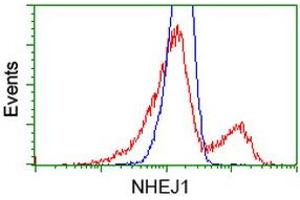 Image no. 13 for anti-Nonhomologous End-Joining Factor 1 (NHEJ1) antibody (ABIN1499729) (NHEJ1 antibody)