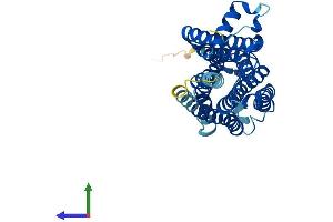 AlphaFold protein structure predicition of Mouse Recombinant Taar8c Protein, UniprotID Q5QD05 (TAAR8C Protein (AA 1-344) (His tag))