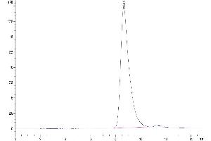 Size-exclusion chromatography-High Pressure Liquid Chromatography (SEC-HPLC) image for Receptor Tyrosine-Protein Kinase ErbB-3 (ERBB3) (AA 20-643) protein (His-Avi Tag) (ABIN7274801)