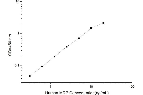 ABCC3 ELISA Kit