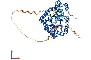 AlphaFold protein structure predicition of Human Recombinant KCNAB3 Protein, UniprotID O43448