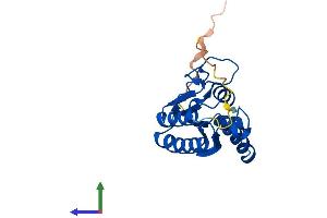 AlphaFold protein structure predicition of Human Recombinant ADAT2 Protein, UniprotID Q7Z6V5 (ADAT2 Protein (AA 1-191) (His tag))