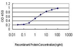 Detection limit for recombinant GST tagged MYNN is approximately 0. (Myoneurin antibody  (AA 501-610))