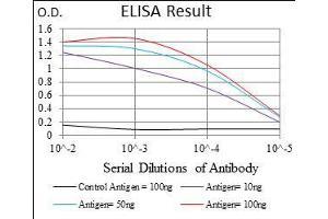 Black line: Control Antigen (100 ng), Purple line: Antigen(10 ng), Blue line: Antigen (50 ng), Red line: Antigen (100 ng), (Cytokeratin 5 antibody  (AA 316-590))