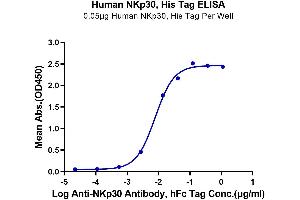 Immobilized Human NKp30, His Tag at 0. (NCR3 Protein (His-Avi Tag))